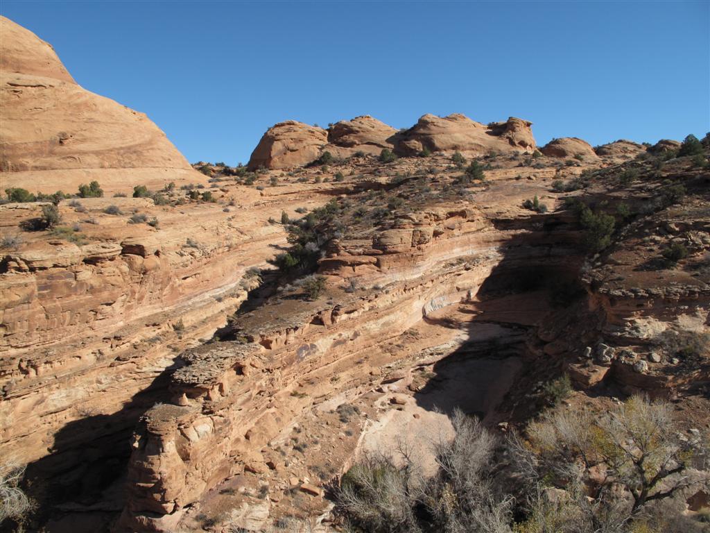 IMG_4490 (Large).JPG IMG_4490 (Large).JPG